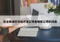 包含杨浦区块链开发公司有哪些公司的词条